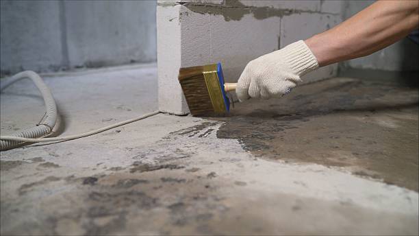24/7 Emergency Crawl Space Encapsulation experts in Toledo, OR